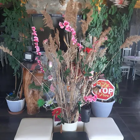 Stone Dream Ohrid View * Udenisht