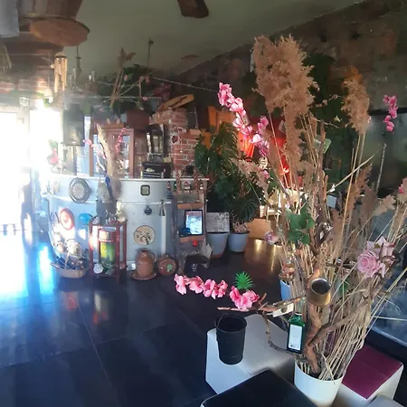 Stone Dream Ohrid View Maison d'hôtes *